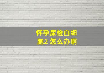 怀孕尿检白细胞2 怎么办啊